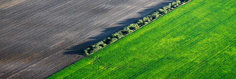 Überführung der Geobasisdaten in das neue Koordinatenreferenzsystem ETRS89/UTM